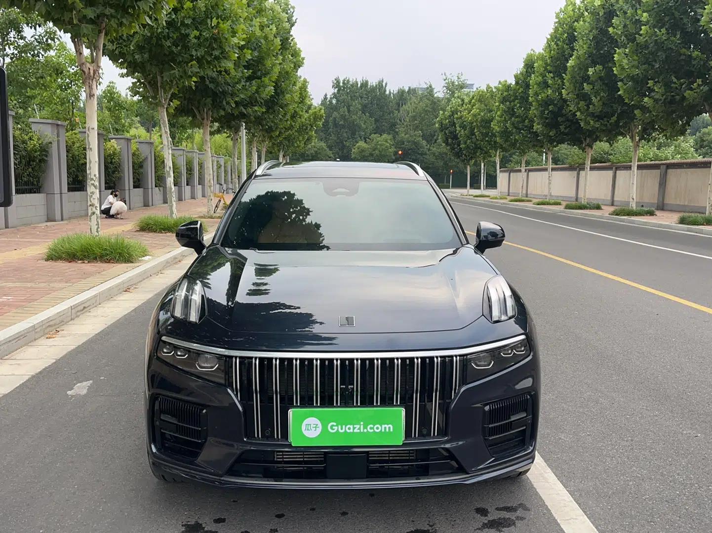Lynk & Co 09 EM-P 2023 2.0TD EM-P Four-Wheel Drive Asian Games Executive Edition Five Seats — миниатюра 2