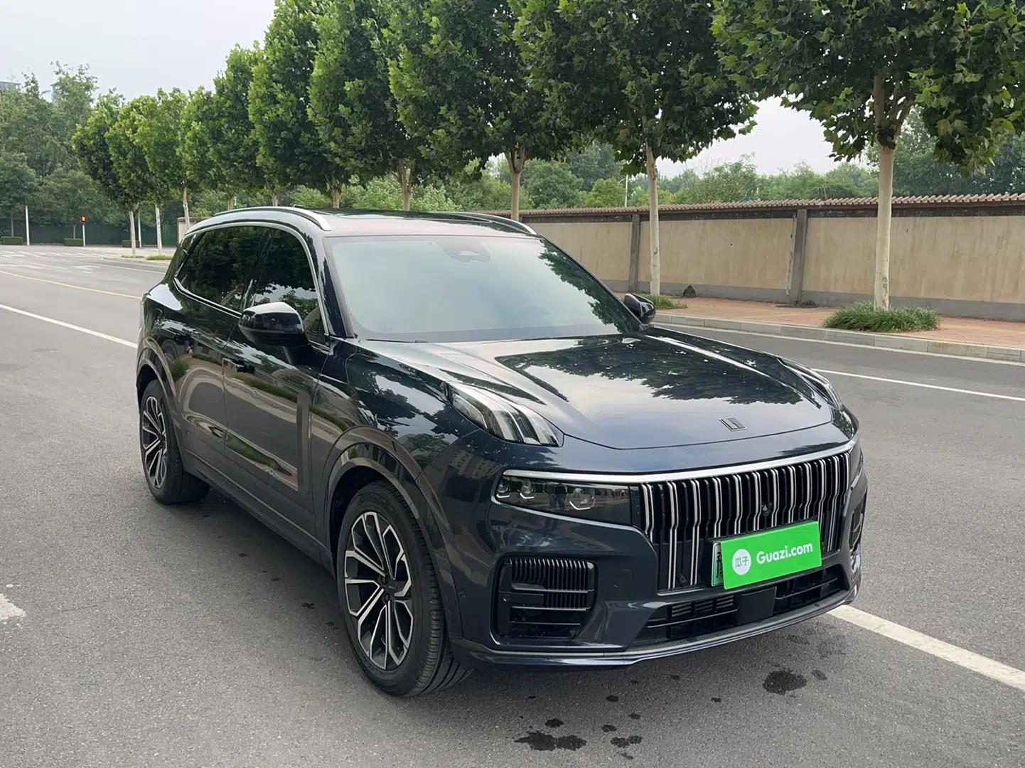 Lynk & Co 09 EM-P 2023 2.0TD EM-P Four-Wheel Drive Asian Games Executive Edition Five Seats — миниатюра 6