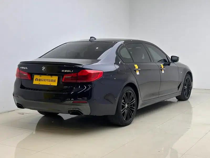 2019 BMW 5 Series 530Li Leading Edition M Sport Package — миниатюра 7
