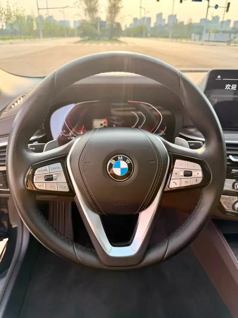 BMW 5 Series 2021 530Li Luxury Package — миниатюра 9