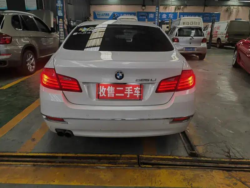 2014 BMW 5 Series 520Li Elegant Edition — миниатюра 6