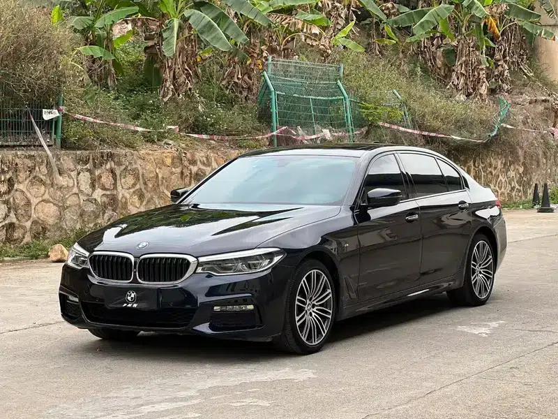 2018 BMW 5 Series Facelift 530Li Luxury M Sport Package — миниатюра 1