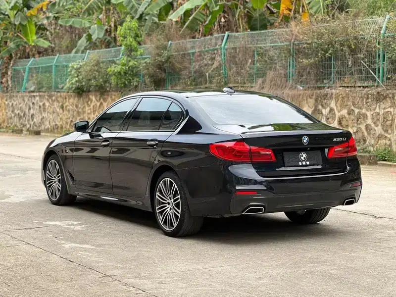 2018 BMW 5 Series Facelift 530Li Luxury M Sport Package — миниатюра 4