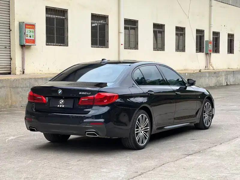 2018 BMW 5 Series Facelift 530Li Luxury M Sport Package — миниатюра 6
