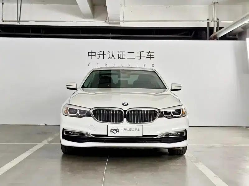 2019 BMW 5 Series 525Li Luxury Package — миниатюра 2