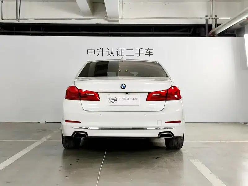 2019 BMW 5 Series 525Li Luxury Package — миниатюра 4