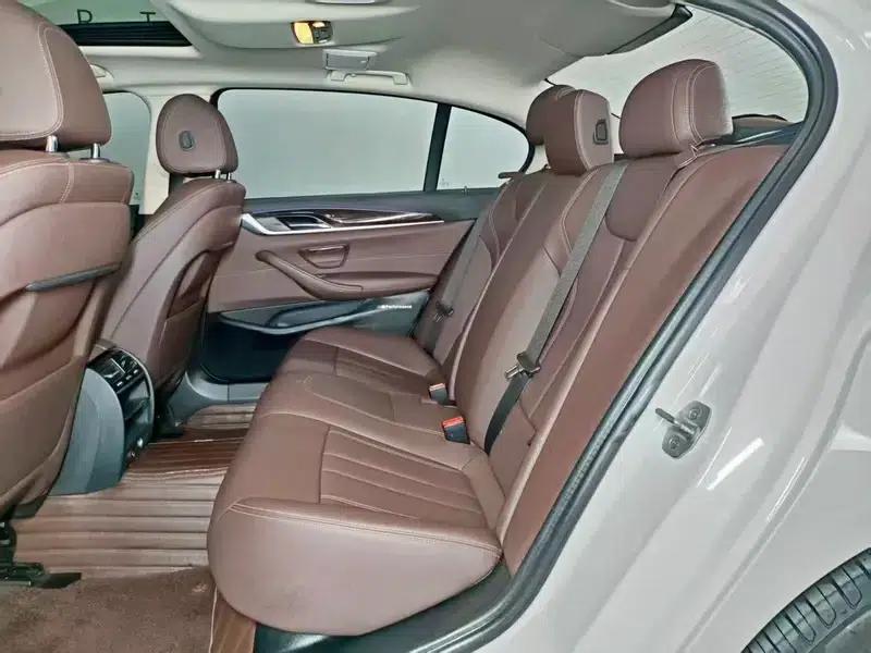 2019 BMW 5 Series 525Li Luxury Package — миниатюра 8