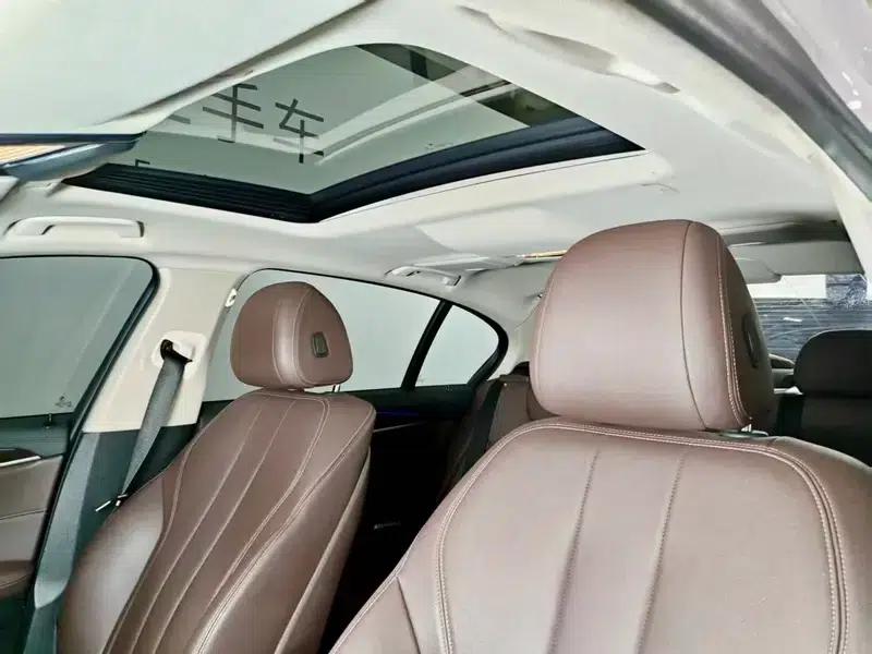 2019 BMW 5 Series 525Li Luxury Package — миниатюра 9