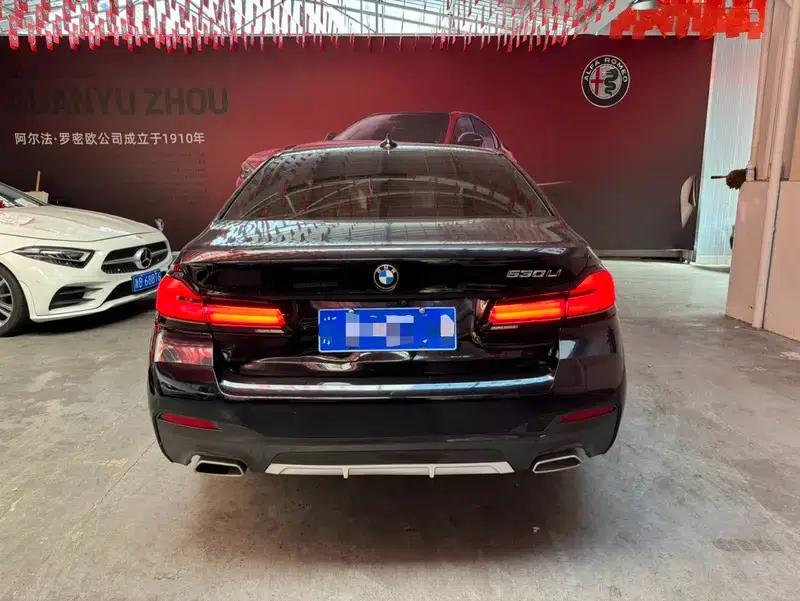 2021 BMW 5 Series 530Li Luxury M Sport Package — миниатюра 5