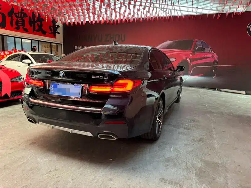 2021 BMW 5 Series 530Li Luxury M Sport Package — миниатюра 6
