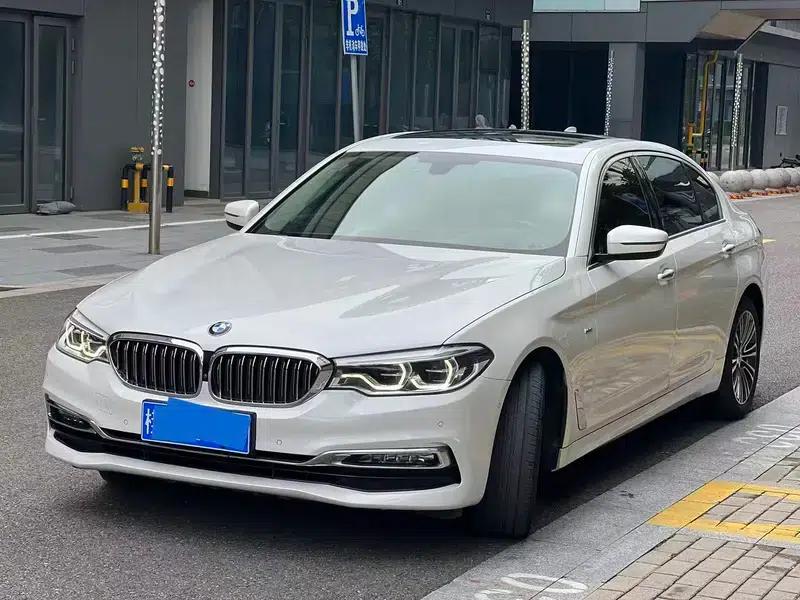 BMW 5 Series 2018 530Li Luxury Package — миниатюра 1