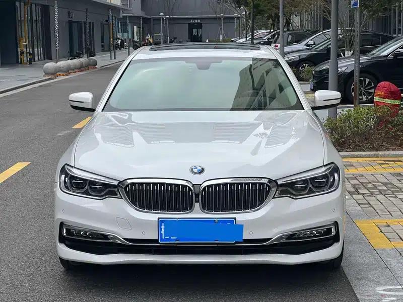 BMW 5 Series 2018 530Li Luxury Package — миниатюра 2