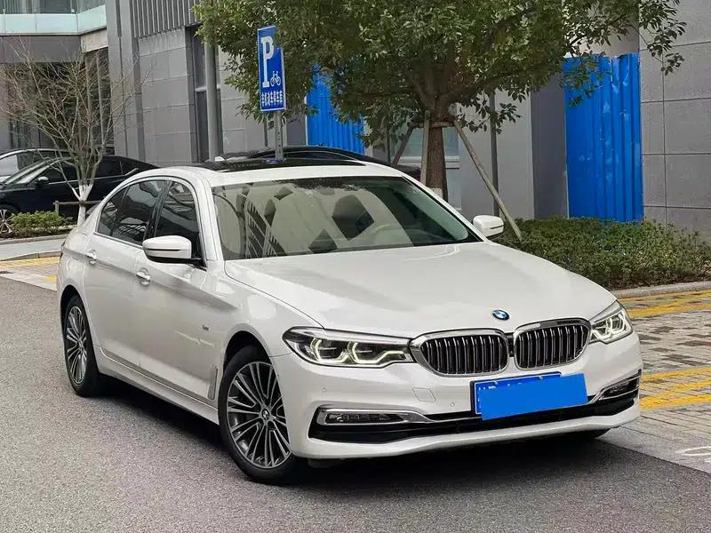 BMW 5 Series 2018 530Li Luxury Package — миниатюра 3