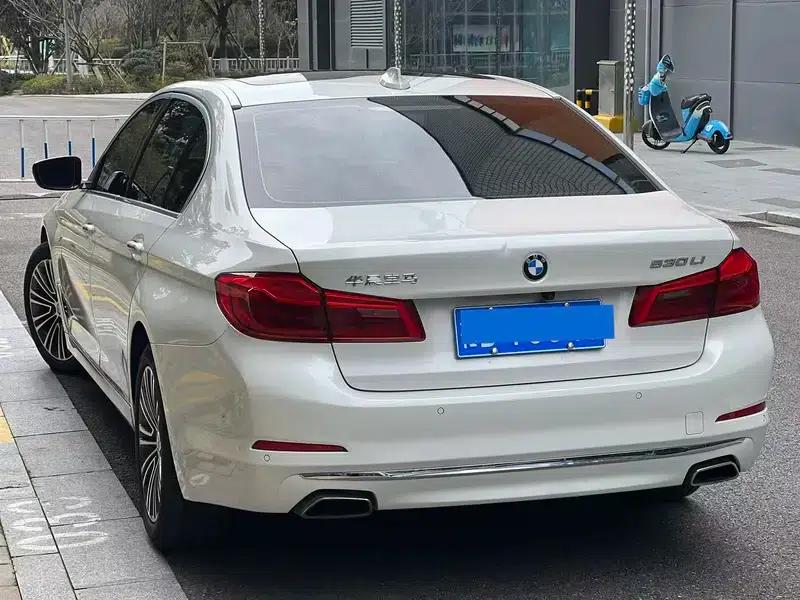 BMW 5 Series 2018 530Li Luxury Package — миниатюра 4
