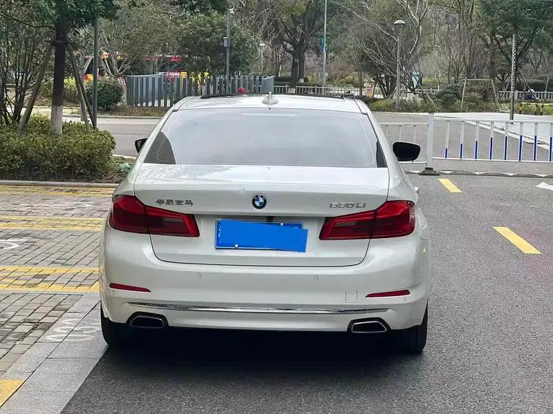 BMW 5 Series 2018 530Li Luxury Package — миниатюра 5
