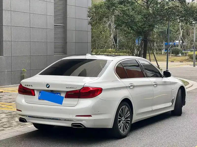 BMW 5 Series 2018 530Li Luxury Package — миниатюра 6