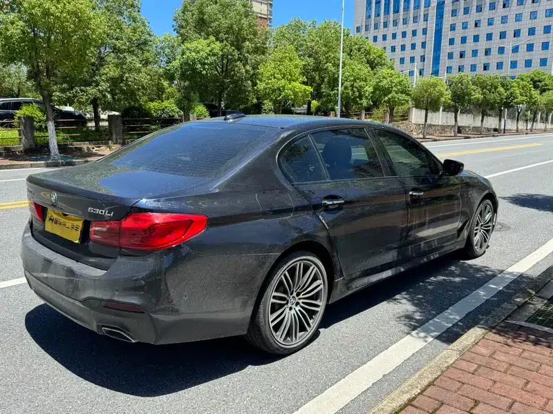2018 BMW 5 Series Facelift 530Li Leading Edition M Sport Package — миниатюра 6