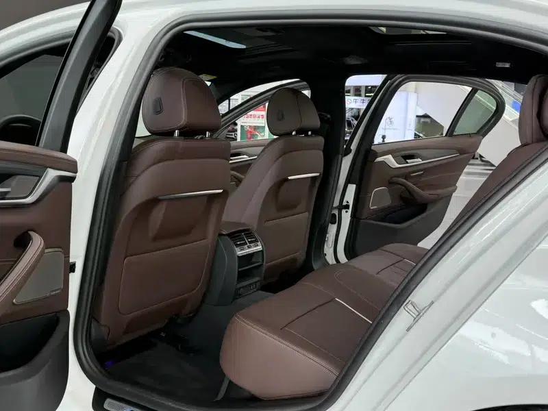 2021 BMW 5 Series 530Li Leading Edition M Sport Package — миниатюра 15