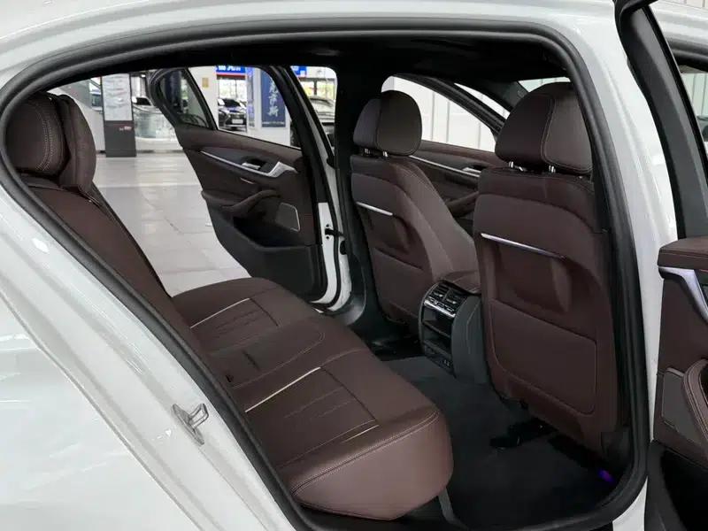 2021 BMW 5 Series 530Li Leading Edition M Sport Package — миниатюра 16