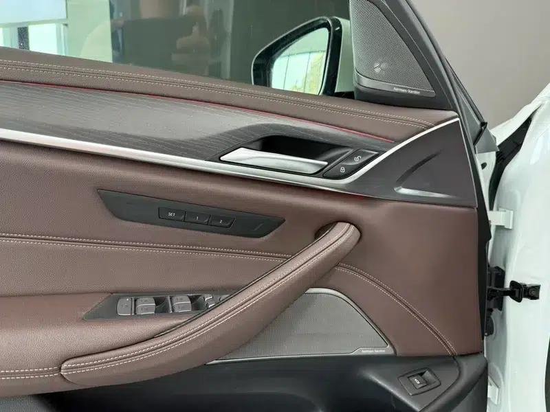 2021 BMW 5 Series 530Li Leading Edition M Sport Package — миниатюра 9