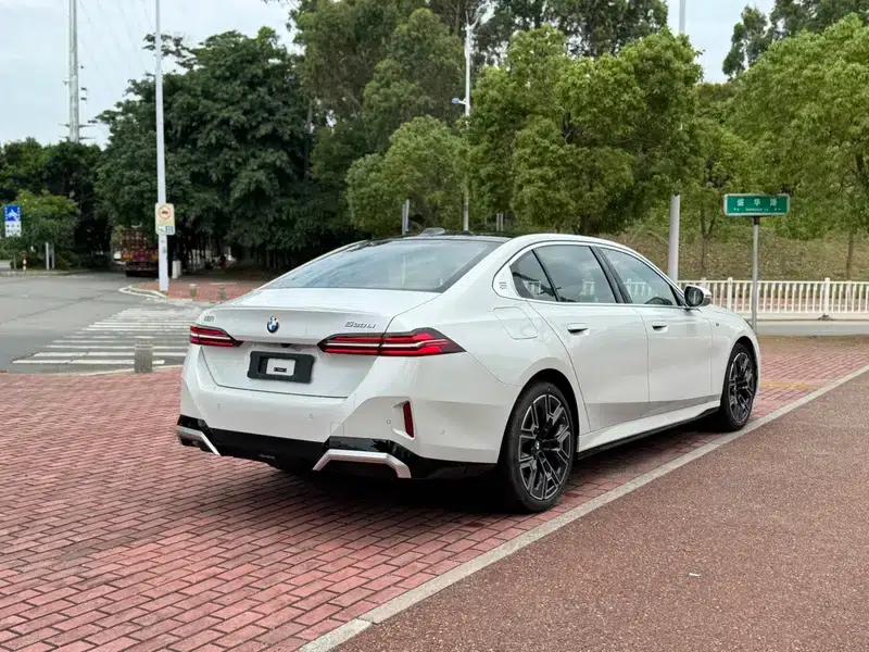 2025 BMW 5 Series 530Li Luxury M Sport Package — миниатюра 6