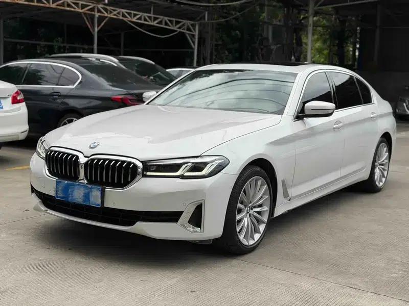 BMW 5 Series 2021 530Li Luxury Package — миниатюра 1