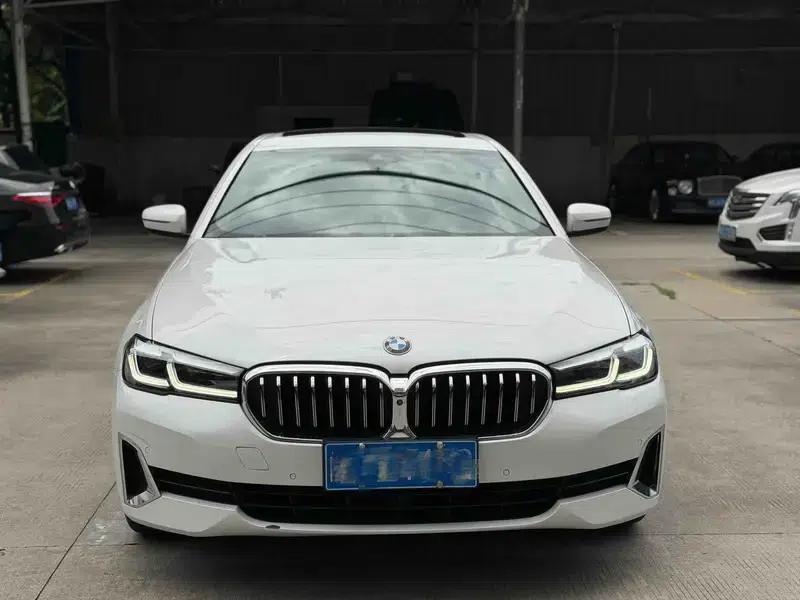 BMW 5 Series 2021 530Li Luxury Package — миниатюра 2