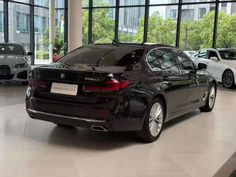 2021 BMW 5 Series 525Li Luxury Package — миниатюра 6