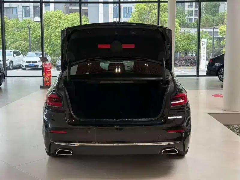 2021 BMW 5 Series 525Li Luxury Package — миниатюра 9
