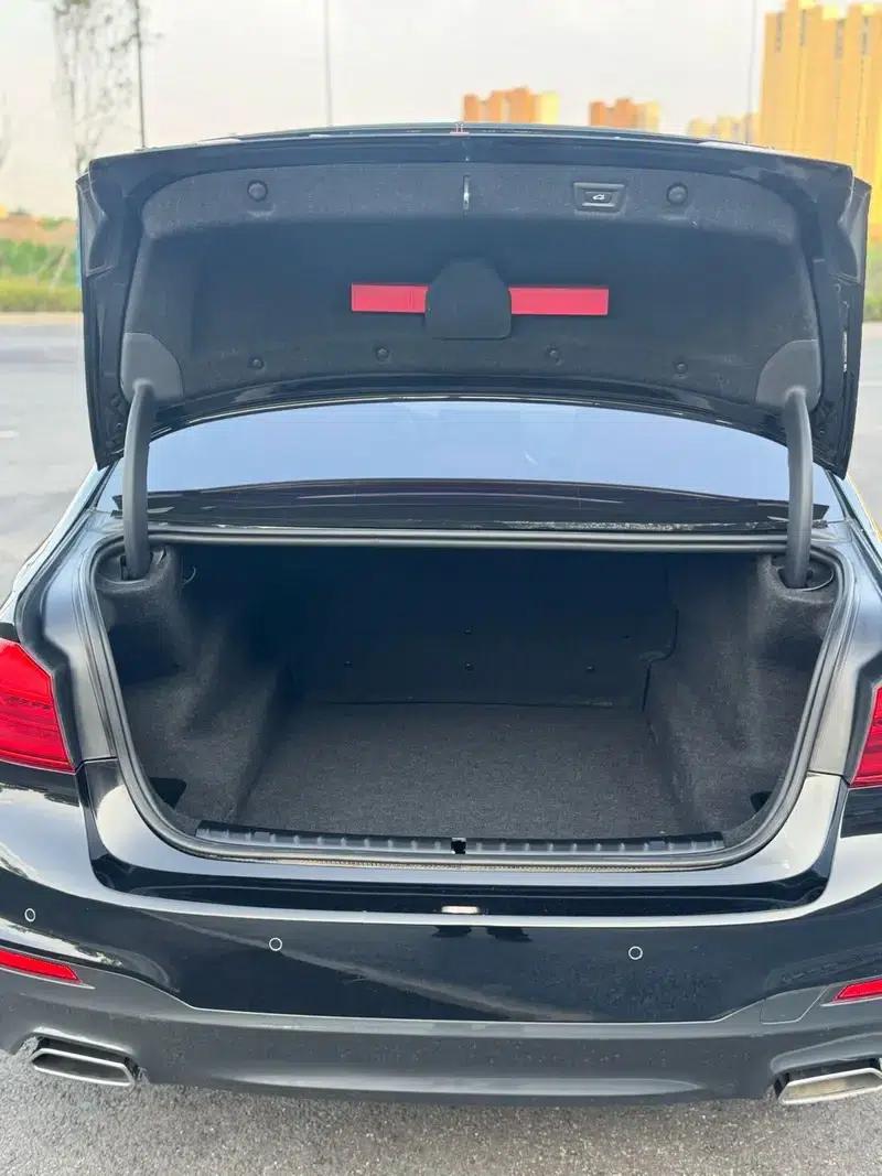 2020 BMW 5 Series 530Li xDrive M Sport Package — миниатюра 13