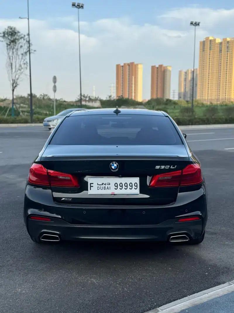 2020 BMW 5 Series 530Li xDrive M Sport Package — миниатюра 4