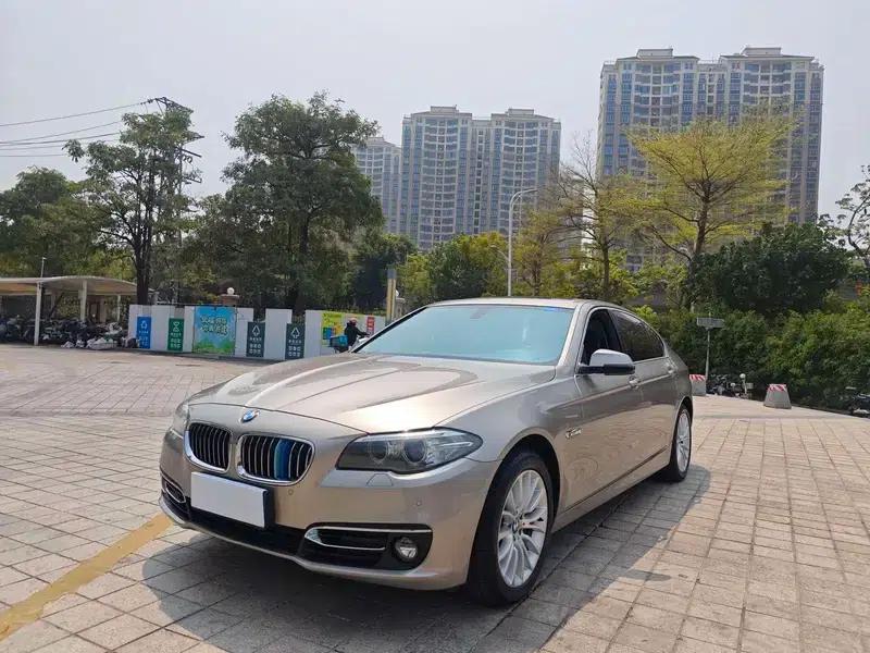 2014 BMW 5 Series 525Li Luxury Design Package — миниатюра 1