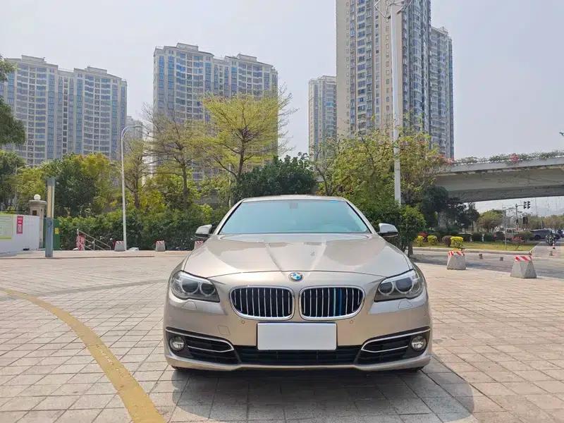 2014 BMW 5 Series 525Li Luxury Design Package — миниатюра 2