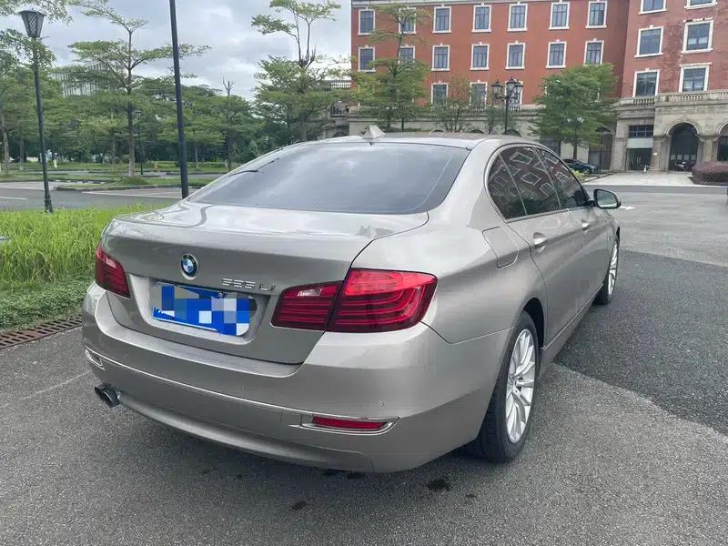 2014 BMW 5 Series 525Li Luxury Design Package — миниатюра 6