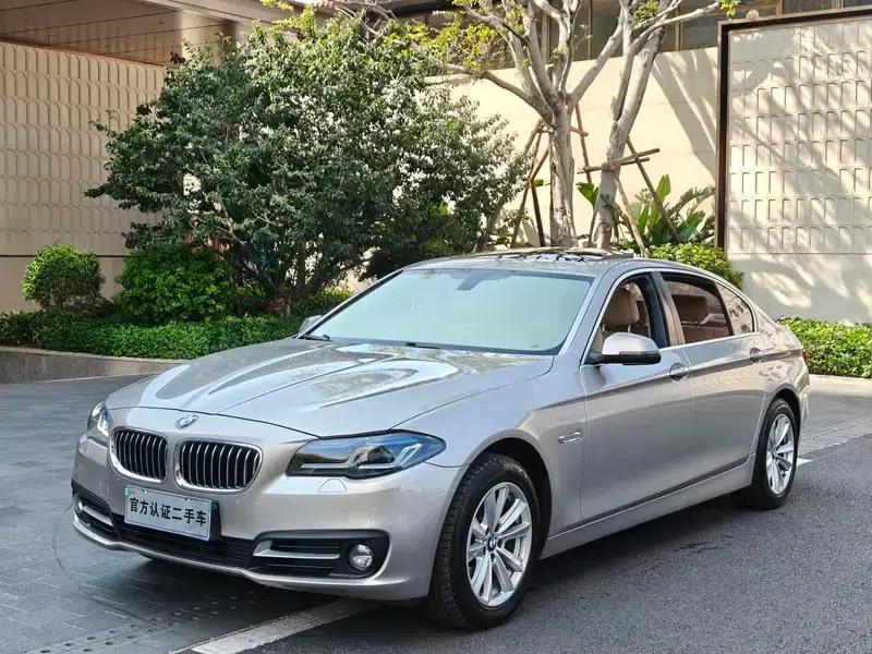 2014 BMW 5 Series 520Li Elegant Edition — миниатюра 1