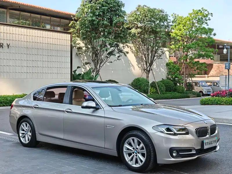 2014 BMW 5 Series 520Li Elegant Edition — миниатюра 3