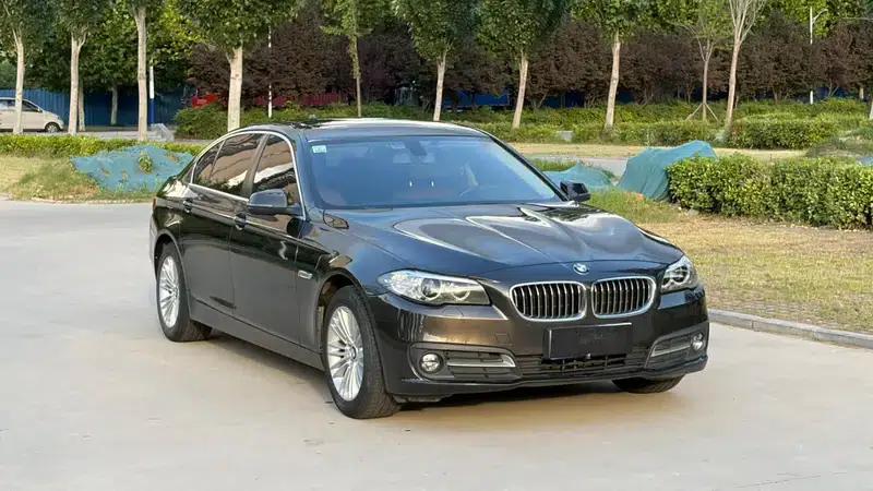2014 BMW 5 Series 525Li Leading Edition — миниатюра 3