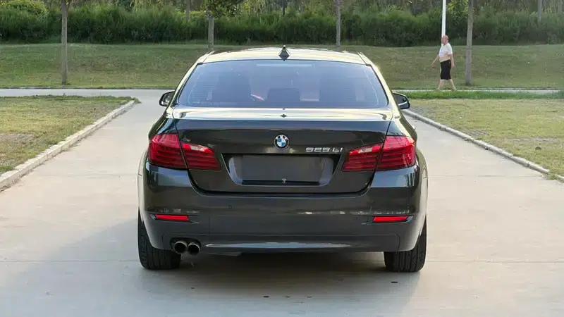 2014 BMW 5 Series 525Li Leading Edition — миниатюра 5