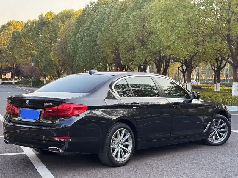 BMW 5 Series 2018 528Li Launch Special Edition — миниатюра 5