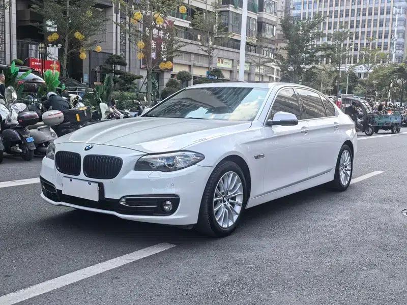2014 BMW 5 Series 525Li Luxury Design Package — миниатюра 1