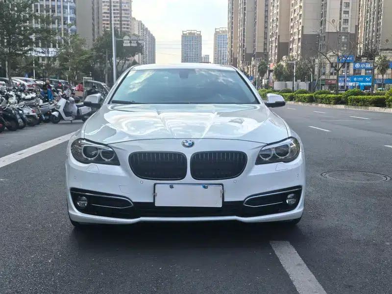 2014 BMW 5 Series 525Li Luxury Design Package — миниатюра 2