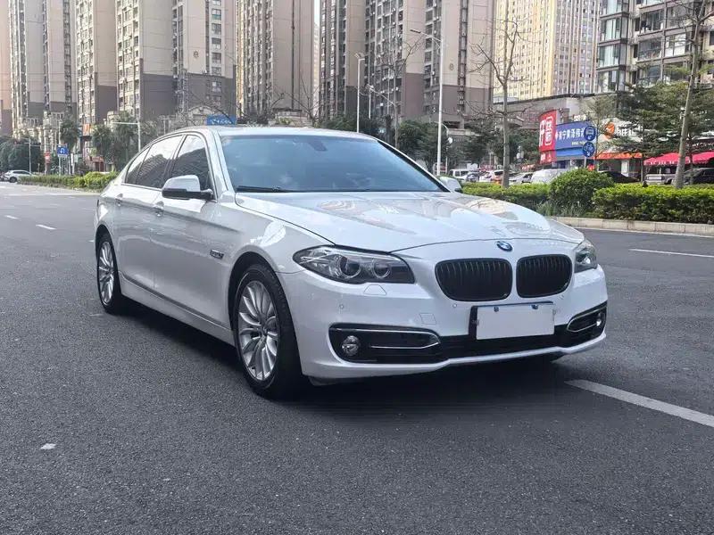 2014 BMW 5 Series 525Li Luxury Design Package — миниатюра 3