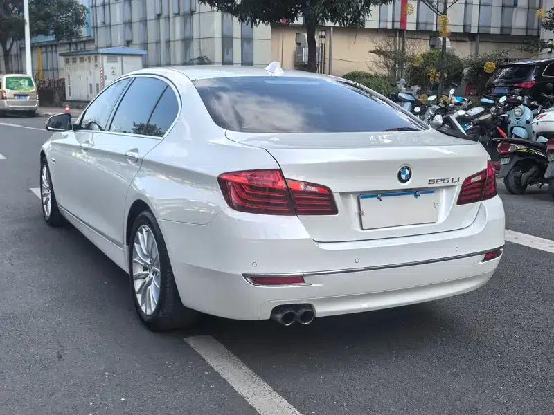 2014 BMW 5 Series 525Li Luxury Design Package — миниатюра 4