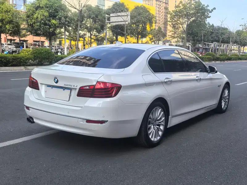2014 BMW 5 Series 525Li Luxury Design Package — миниатюра 6