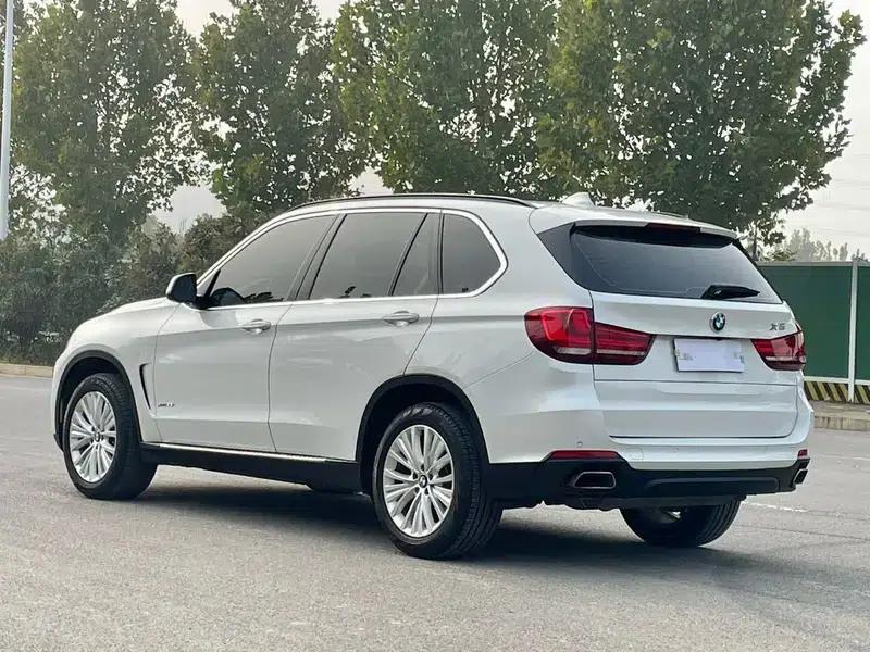 BMW X5 (Imported) 2014 xDrive35i Elegant Edition — миниатюра 5