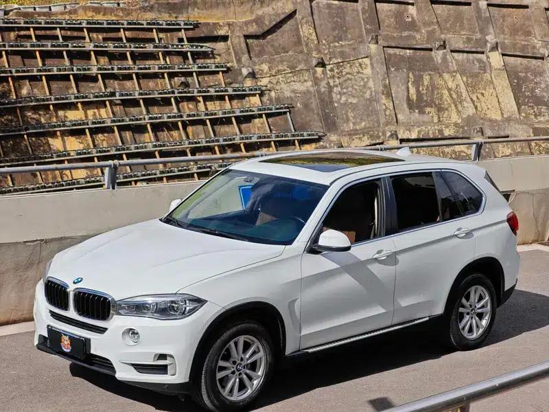 BMW X5 (Imported) 2017 Model 3.0T Automatic 4WD 5-Seater Parallel Import — миниатюра 9