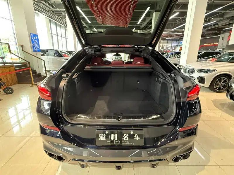 BMW X6 2021 xDrive40i Luxury M Sport Package — миниатюра 15