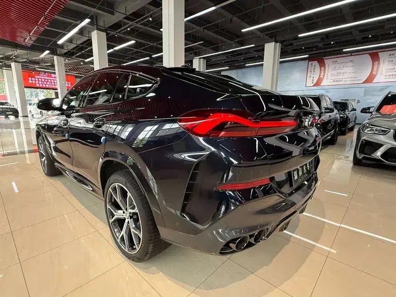BMW X6 2021 xDrive40i Luxury M Sport Package — миниатюра 3
