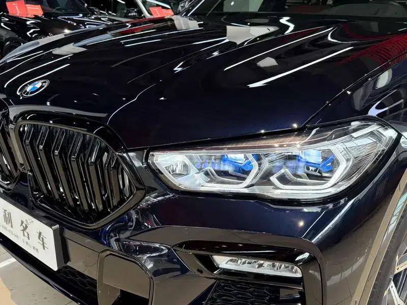 BMW X6 2021 xDrive40i Luxury M Sport Package — миниатюра 6