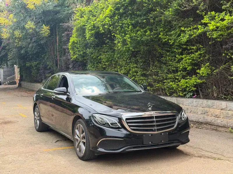 2019 Mercedes-Benz E-Class E 300 L Luxury — миниатюра 3